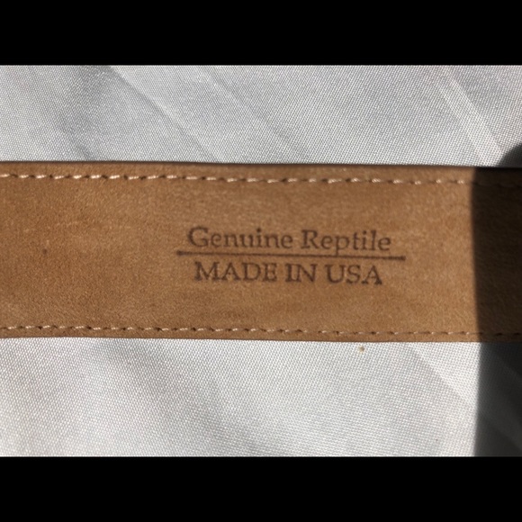 3 for $20 REPTILE SKIN BELT-VINTAGE CENTURY CANADA - Picture 2 of 6